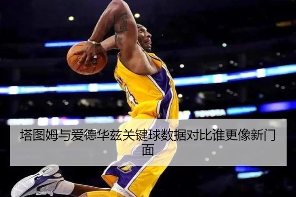塔图姆与爱德华兹关键球数据对比谁更像新门面